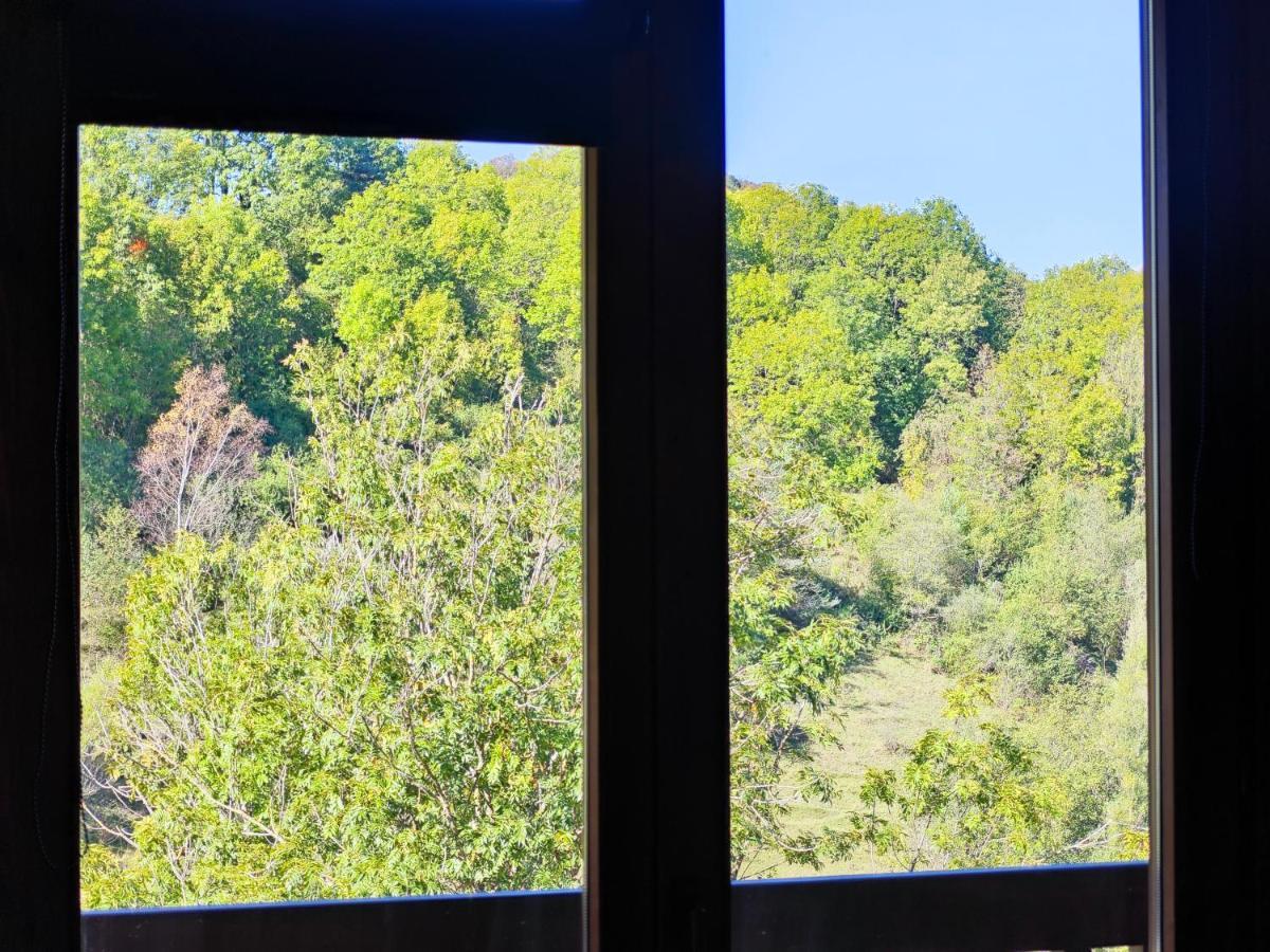 Els Tres Sols Villa Camprodon Dış mekan fotoğraf